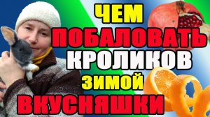 Зимнее кормление кроликов. Как быстро поднять кроликов.