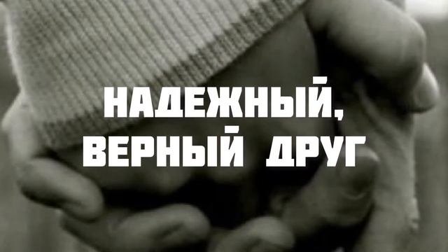 С ДНЁМ РОЖДЕНИЯ, ИРА! ?ПОЗДРАВЛЕНИЕ С ДНЁМ РОЖДЕНИЯ ДЛЯ ИРИНЫ! ?