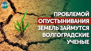 Проблемой опустынивания земель займутся волгоградские ученые