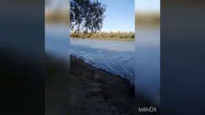 Астрахань 2021 река Хурдун