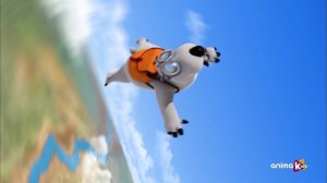 Бернард - 10 - прыжки с парашютом