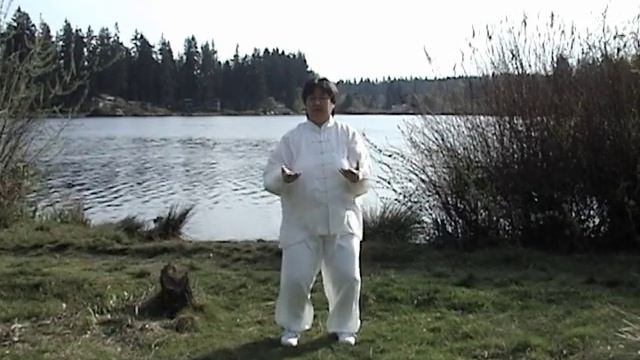 Taiji Qigong Shibashi (18 short) смотреть онлайн