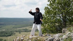 18 форм тайцзи цигун