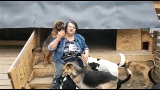 Вагончик добра и нужды приюта.The action of kindness and needs of the shelter