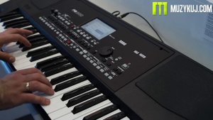 Korg Pa 300