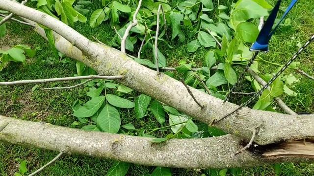 ЧТО МОЖНО СДЕЛАТЬ ИЗ СТАРОЙ ЦЕПИ ОТ БЕНЗОПИЛЬІ смотреть онлайн