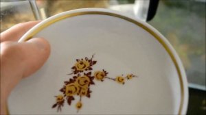 Тетра конго разведение.  Phenacogrammus interruptus нерест. Искуственное оплодотворение.