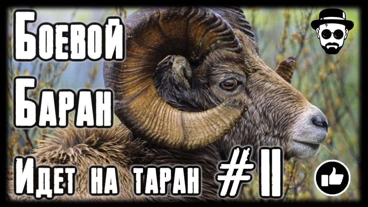 БОЕВОЙ БАРАН ? ИДЁТ НА ТАРАН #2 / BATTLE RAM