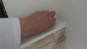 Игрушки для собак. Вся ПРАВДА. Игрушки для щенков. Какую игрушку выбрать? Дрессировка собак.