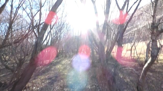 каменные шары кмв смотреть онлайн