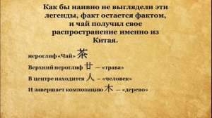 Чайная Школа. История чая. Часть 1