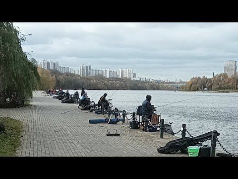 Кубок Москвы По Фидеру!