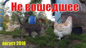 НЕ ВОШЕДШЕЕ  АВГУСТ 2018 // ДЕРЕВЕНСКАЯ ЖИЗНЬ