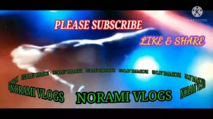 "CHICKEN DANCE"SHORT#NORAMI VLOGS...