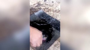 Мастика гидроизоляционная отзывы