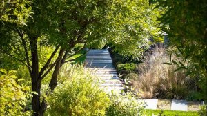 Реализованный ландшафт в элитном коттеджном посёлке в г. Екатеринбург