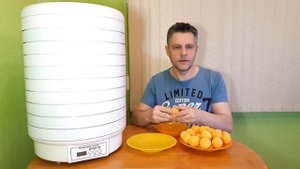 Сушка груш и абрикосов в сушилке Волтера 1000 люкс