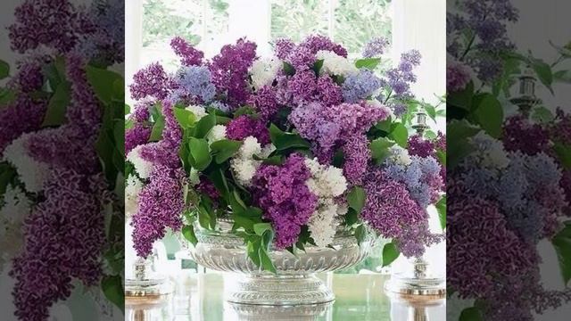 Доброе утро! смотреть онлайн