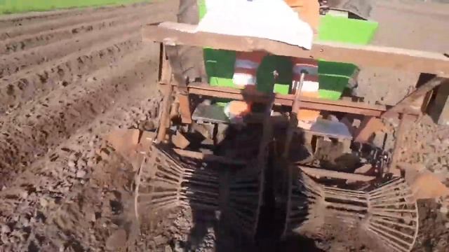 Посадка картофеля сорт Таскана смотреть онлайн