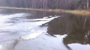 Стеклопластиковая лодка SCANDIC Eving 270