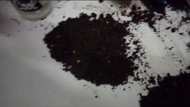 Укоренение фикуса / Посадка укорененного фикуса каучукового смотреть онлайн