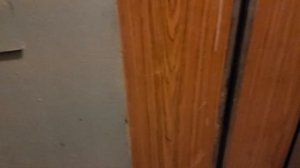 Усеченный лифт в сетке с необычным плафоном