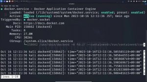 How to Install DVWA in Kali Linux with DOCKER