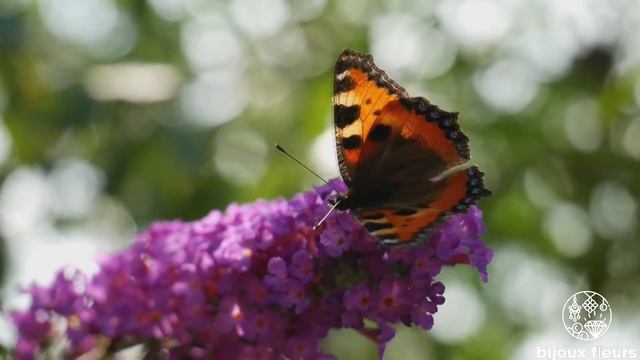 Реклама украшений из эпоксидной смолы