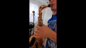 Antigua Pro One Alto Demo
