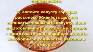 Квашеная капуста с медом. Как квасить капусту.
