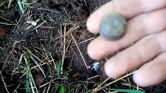 Шурфим дальше и не зря  (Shurfim Weiter Und Nicht Umsonst)