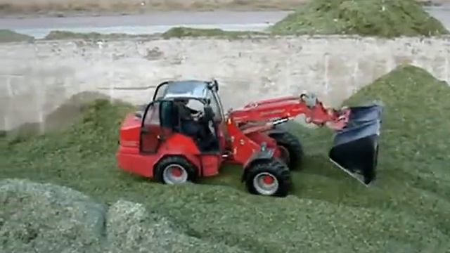 Заготовка силоса Телескопический погрузчик смотреть онлайн