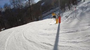 Синяя трасса "Реликтовый лес" г.к. Красная поляна