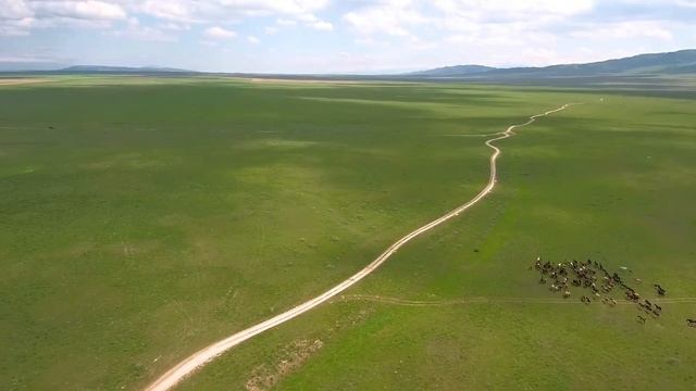 Полет над табуном лошадей в Чал Дала смотреть онлайн