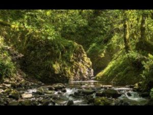 Xenus: Точка Кипения.1 Серия. Игрофильм.