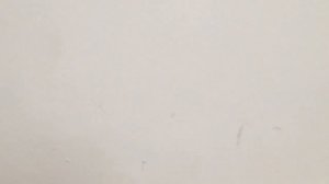 Чем отмыть стены в прихожей?