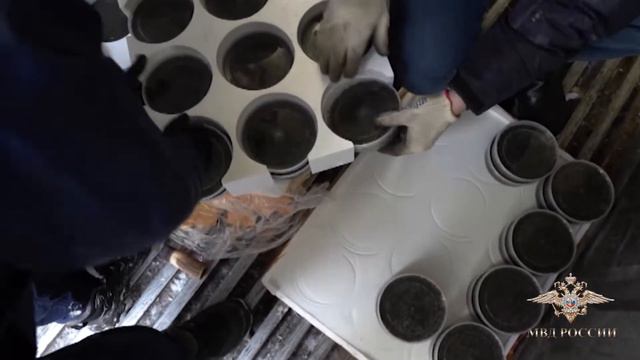 Как выглядит черная икра на 20 миллионов: МВД публикует кадры изъятия драгоценного продукта смотреть онлайн