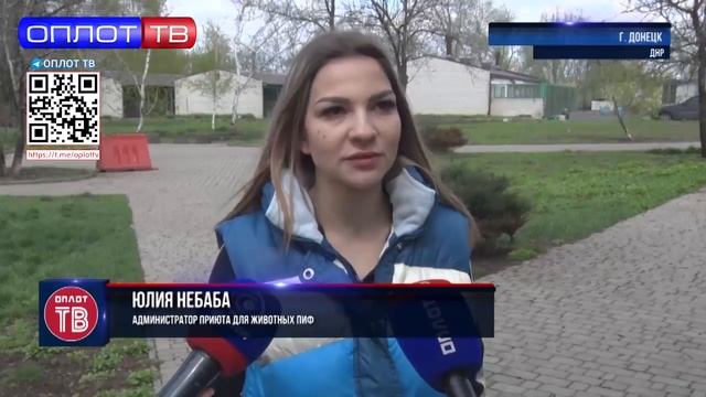 Гуманитарная помощь бездомным животным Донецка.. #донецк #помощьживотным