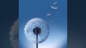 Samsung - Over The Horizon 2012 - Microsoft GS Wavetable Synth MIDI File