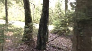 Бердовка. 142 РП. Боевая позиция 2- дивизиона 142-го РП РВСН. Часть 1