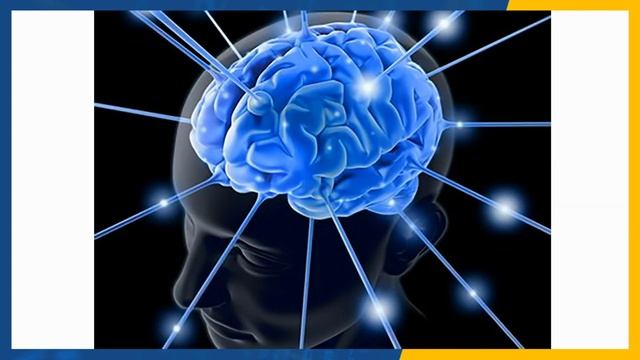 Реклама в Яндекс Бизнес - ваши деньги улетят со свистом