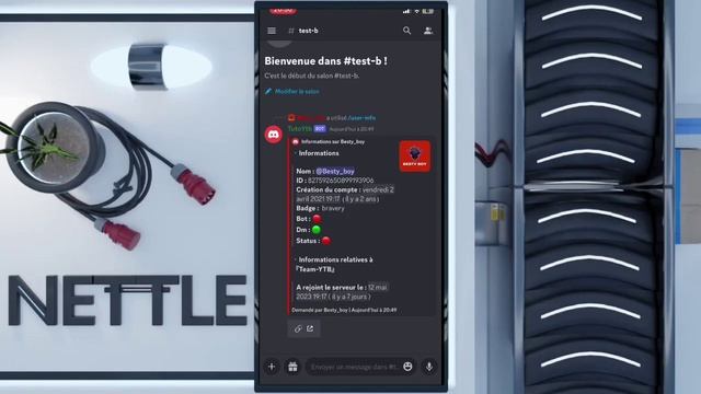 Userinfo Slash Command [Tutorial] - Bot Designer For Discord - [bdfd]