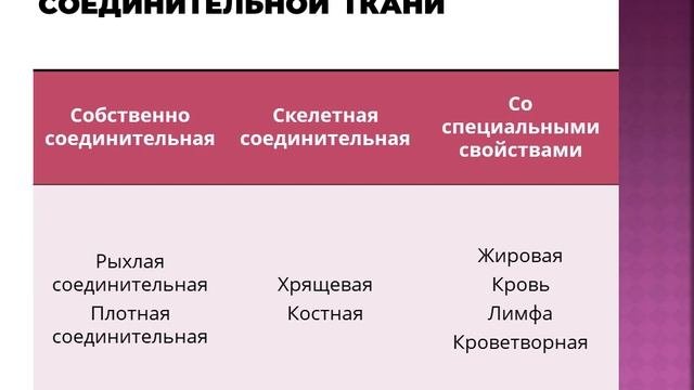 Лекция #1 Фармация