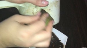 Смешиваю КОФЕЙНУЮ ГУЩУ с ВОДОЙ ! и ВПЕРЕД! лучшее средство для мытья