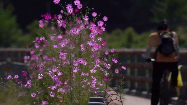 Музыка для медитации и релаксации - гармонизация сознания смотреть онлайн