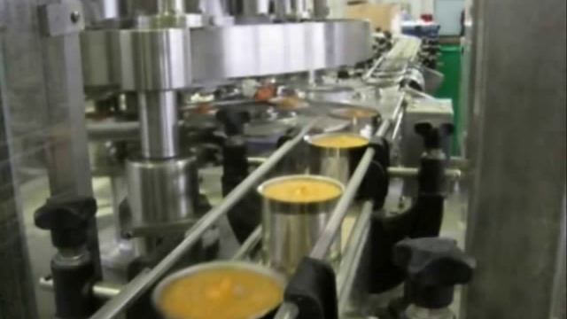 Линия по переработке тыквы и кабачка (www.ital-export.ru)
