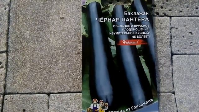 Баклажан Черная пантера - ознакомление смотреть онлайн