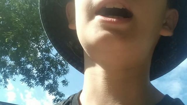 следущее напровление