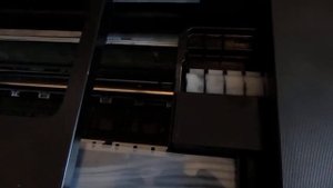 Критическая ошибка epson l 800 при загрузке