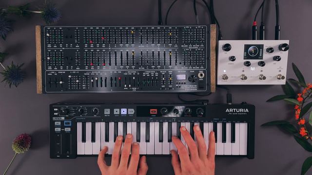 Black Corporation Deckard's Dream MK II Sound Demo (no talking) with Meris LVX Delay смотреть онлайн